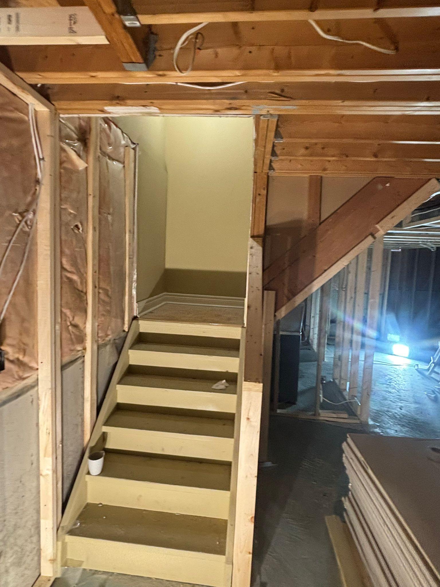 Legal basement before renovation 1